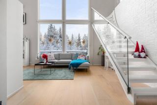 Flow Lapland Villa - 1