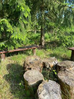 A Gem In The Woods Close To The North Sea - 4