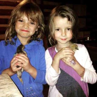 Rural Log Cabin Rental for Couples near Taos Ski Valley - San Cristobal - 7