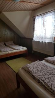 Zafir House Harghita Bai Ski - 5