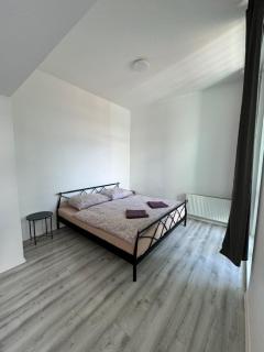 Teplice Masarykova Apartments - 3