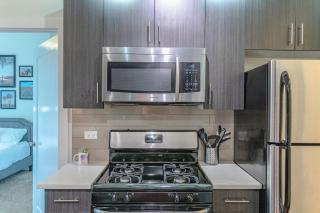 Chicago Luxurious 3BR Near McCormick Place 2001 South St - 3E - 8