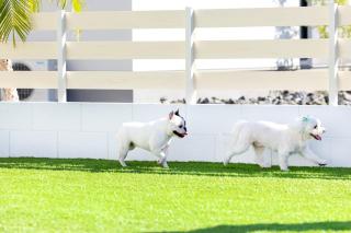 Villa Uminosora - Vacation STAY 99828v - 9