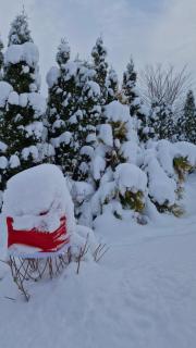 Gospodarstwo Rospuda - 7