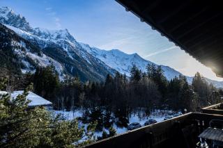 Les Balcons de Champraz- Spectacular Mont Blanc and Lake Views - 9