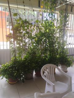 Bonito é ser Feliz Budget - 4