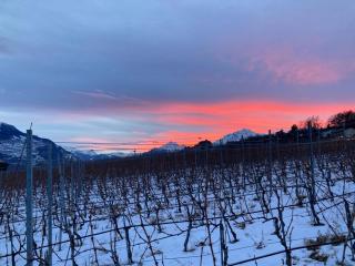 A 5mn de Sion - Appartement Havre de Paix - Grimisuat - 5