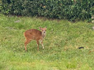 Nature's View Cottage - 6