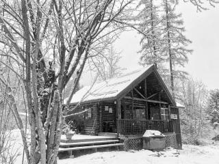 Morning Star Cabin - 9