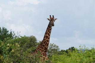 Henneberger Hof Aussicht - 2