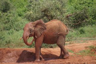 Henneberger Hof Aussicht - 1