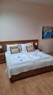 Statek Otradovice hotel - 7