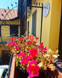 B&Bi13 - Magenta - 8