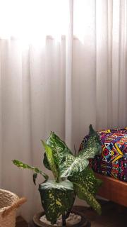 Stay with Steffi - 5