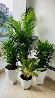 Crystal Avenue - Aurafarm stay by Hosana Hospitality - 8