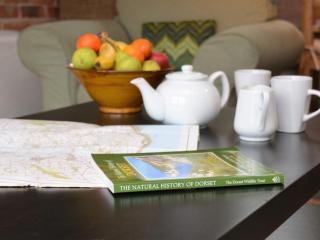 1 Bed in Whitchurch Canonicorum CIBAR - 5