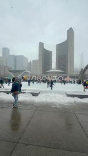 DOWNTOWN-BMO Field Stay-Next to Transit-Restaurants-Union Station - 9