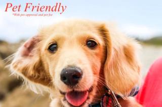 1BR Quaint First Floor 3 min Walk to beach - 7