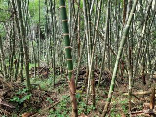 Posada San Jorge - 7