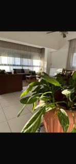 Sunny central room in degla el maadi - 4