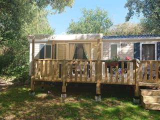 Mobil Home avec Terrasse - 6 Personnes - API-1-52-1432 - 0