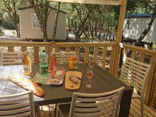 Mobil Home avec Terrasse - 6 Personnes - API-1-52-1432 - 4