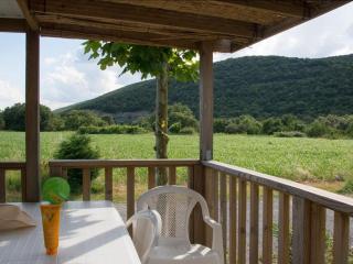 Mobil-home 30m² avec Terrasse - 3 Chambres - Saint-Maurice-d'Ibie - API-1-52-1435 - 7