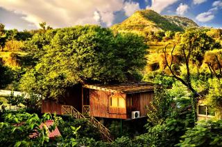 The Tree House Resort - Jaipur - 0
