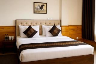 Dhauladhar Highland Resort - 7