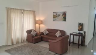 Starlight Hotels OMR Thoraipakkam - 5