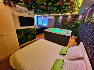 RELAX SPA-4 Pers-Jacuzzi-Parking-Jardin-Clim-Colmar - 1