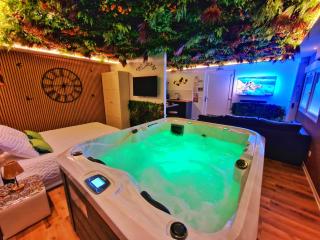RELAX SPA-4 Pers-Jacuzzi-Parking-Jardin-Clim-Colmar - 8