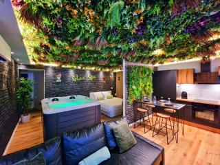 RELAX SPA-4 Pers-Jacuzzi-Parking-Jardin-Clim-Colmar - Muntzenheim - 3