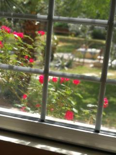 Villa with big garden - 8