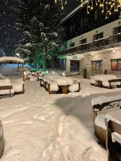 Edelweiss Central Hotel - 4