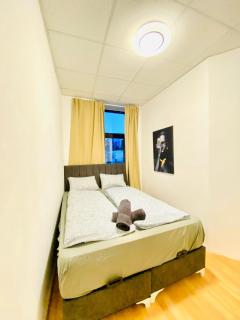 Quiet Well-Connected Area, Comfy 3BR Apartment - 8