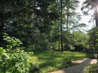 Waldhaus Möhnesee - 5