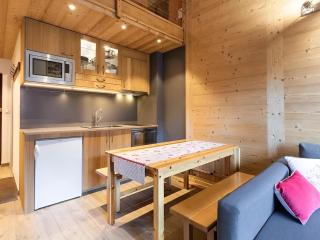 Appartement lumineux, proche pistes, accepte animaux - FR-1-304-267 - La Clusaz - 1