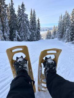 Nord-Garthus, leilighet 2 - 8