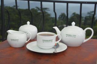 Discovery Retreat Blackwood - 0