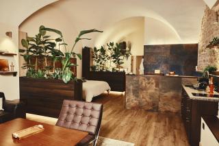 Loft architecte exceptionnel avec mini piscine design - 8