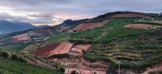 White House Resort - 7