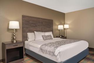 Baymont by Wyndham Baldwin - 4