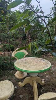 Bird Park Villa Ella - 2