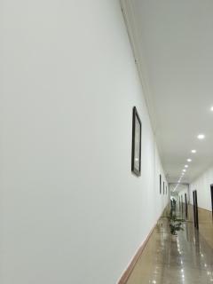 Golden villa near Delhi Airport - 0