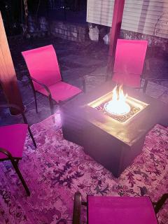 Pinksburgh pet-friendly by Strip, stadium, skyline - 1