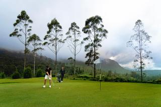 Aadya tea Bungalows - 4