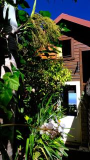 Chalet de charme vue sur océan - 8