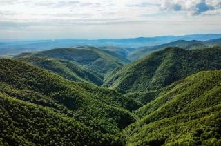 Pensiunea Lara & Mara - 8