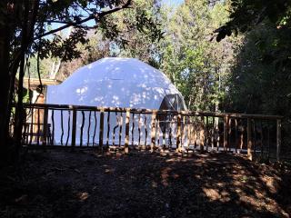 Domo Glamping en el bosque - Coñaripe - 2